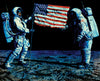 Giant Leap for Mankind – Cotton Fabric Panel